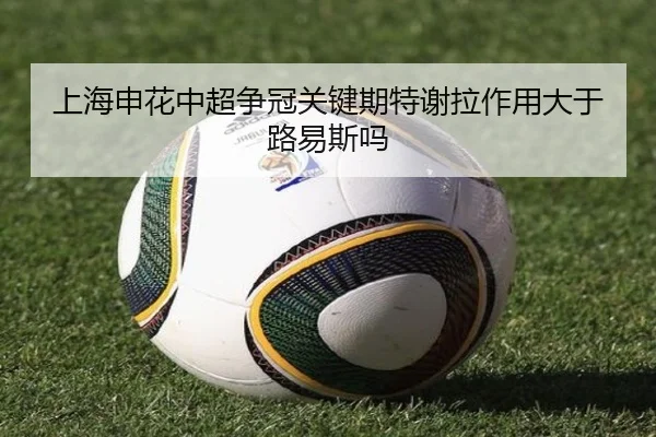 shang-hai-shen-hua-zhong-chao-zheng-guan-guan-jian-qi-te-xie-la-zuo-yong-da-yu-lu-yi-si-ma-3-877.jpg