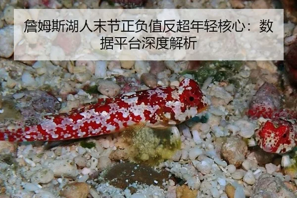 zhan-mu-si-hu-ren-mo-jie-zheng-fu-zhi-fan-chao-nian-qing-he-xin-shu-ju-ping-tai-shen-du-jie-xi-2-801.jpg